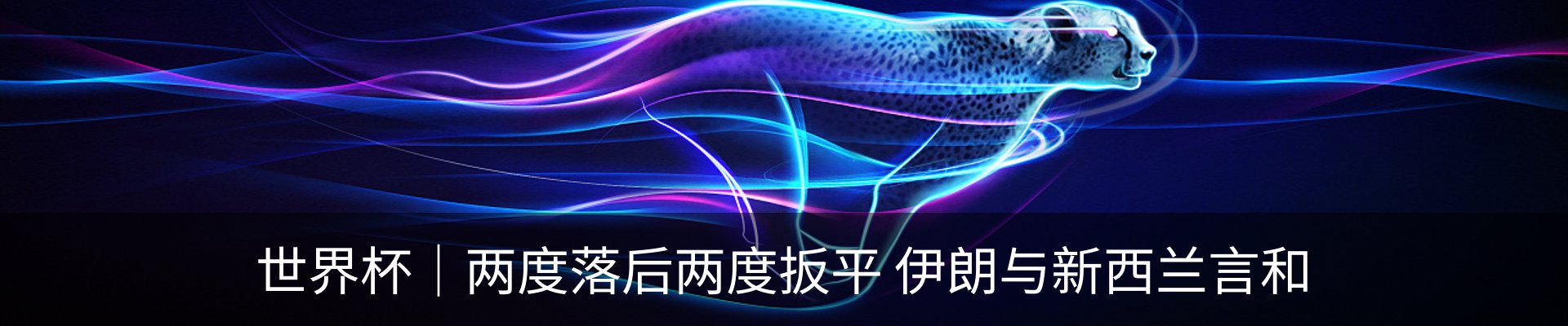 新闻动态